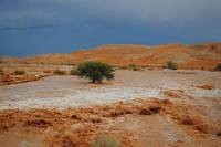 Kyoto University Irrigates Desert with Flash Floods