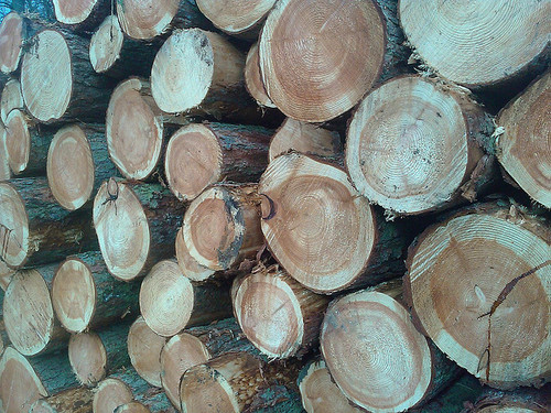 Lumber.jpg
