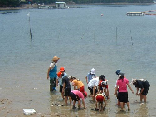 JFS/Initiatives to Restore the Tidal Flats of Ago Bay