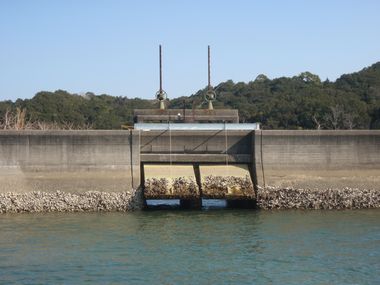 JFS/Initiatives to Restore the Tidal Flats of Ago Bay
