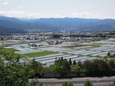 JFS/Unique Community Farm Management in Kamiina District Shifting Focus from Owning to Using Farms