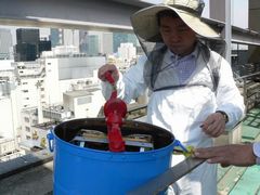 JFS/Honeybee Project03