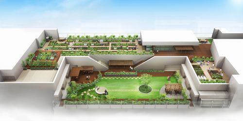 JFS/JR East Opens Tokyo's Largest Rooftop Rental Farm