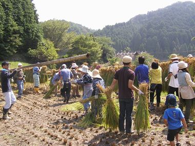 JFS/Local Eco-Point