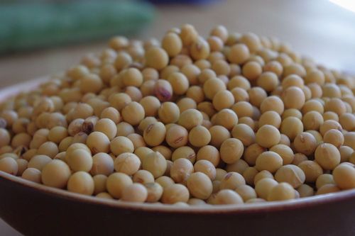 soybean.jpg