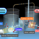 Panasonic Develops Artificial Photosynthesis System to Generate Organic Materials from Carbon Dioxide