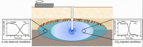 Impact_of_CSS_Microbial_Communities_en.jpg