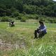  Une nouvelle tendance au Japon : agriculteur à temps partiel