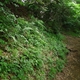  Historic Local Community Pathways in Japan Help Protect Green Spaces from Developers