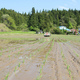 Number of Certified Eco-Farmers Across Japan Rises by Over 10,000 in One Year