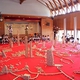 Children Play with Wood Blocks, Learn about Forests