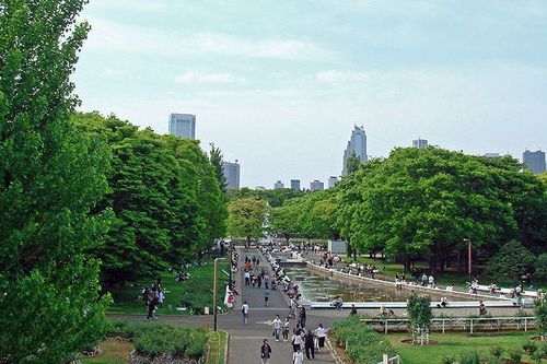 Photo: Yoyogi Park