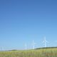 Three Coops in Tohoku Region Launch Joint Wind Power Project