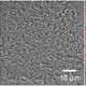 RIKEN and Kaneka Successfully Produce Bioplastics from Non-Food Biomass