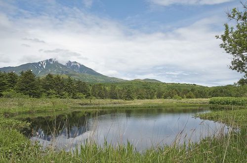 Photo: Minamihama Wetland in Rishirifuji, Hokkaido.