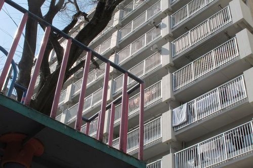 Photo: A housing complex and park