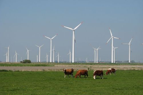 Photo: Wind Farm