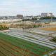 Greenery to Citizens! -- Urban Agriculture in Yokohama City, Kanagawa Prefecture