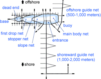 Figure: Triangular set net