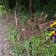 Micro Hydro as Farmland Protection against Wild Animals