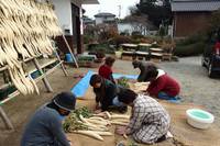 Organic Farming in Abandoned Farmland in Fukushima