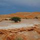 Kyoto University Irrigates Desert with Flash Floods