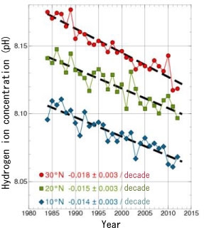 JFS/JMA Begins Ocean Acidification Reporting Online