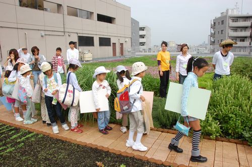 sketching event of flowers and honey-bees