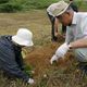 北海道のドライブで出たCO2を植樹でオフセット