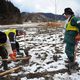 Cherry Tree Planting 'Sakura Line 311' to Mark Tsunami for Future Generations