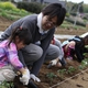 Rental Organic Farm Provides Farmland for Housing Development Project