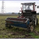 Fertilizer from Kitchen Waste Helps to Grow Mineral-Rich Vegetables