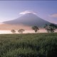 Mt. Fuji's Hometown Welcomes PV and Wind Power Facilities but Within Limits to Preserve Heritage Views