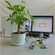 Ritsumeikan University Develops Self-Powered Plant Monitoring System
