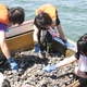 Girls' High School Wins 2013 Japan Stockholm Junior Water Prize