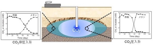 Impact_of_CSS_Microbial_Communities_ja.jpg