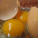 ホクリヨウの鶏卵、「エコフィード利用畜産物」認証を取得