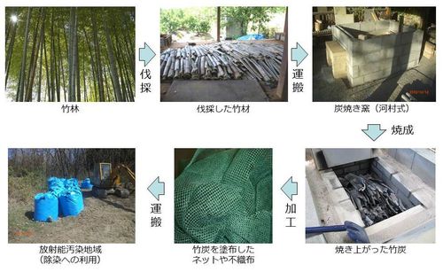 写真：「竹炭プロジェクト」全体の流れ
