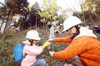 森を育んで10年　「長野・東京ガスの森」