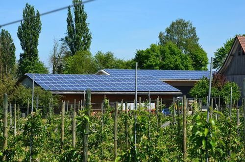 写真：太陽光発電