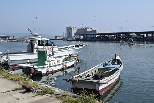 写真：氷見市