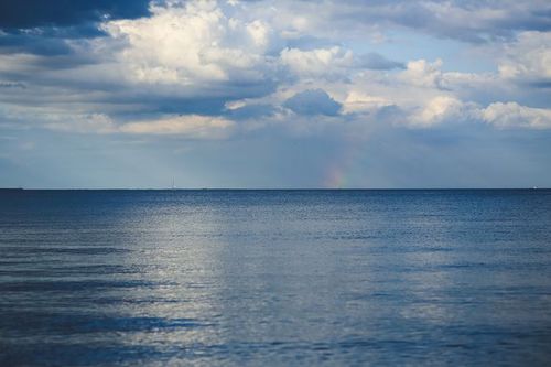 写真：海