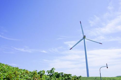 写真：風力発電