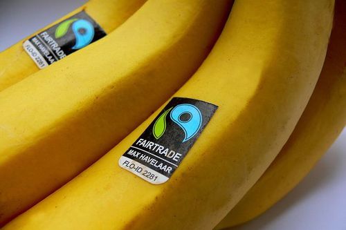 写真：Max Havelaar Bananen