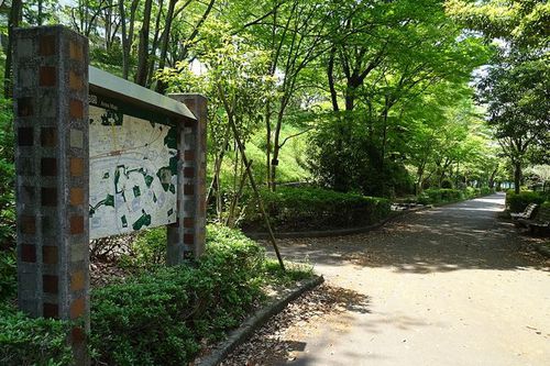 写真：多摩ニュータウンの遊歩道「松が谷散歩道」