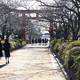 「武家の古都・鎌倉」の街並みを守れ