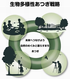 Atsugi_Develops_Biodiversity_Strategy.jpg
