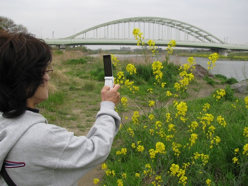 JFS/Fujitsu Provides Free Web-based Cloud Platform for Biodiversity Conservation Research Activities