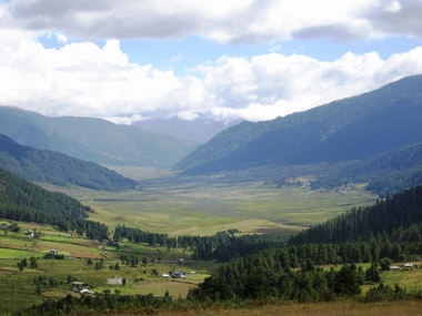 JFS/Conserving Black-Necked Cranes in Bhutan