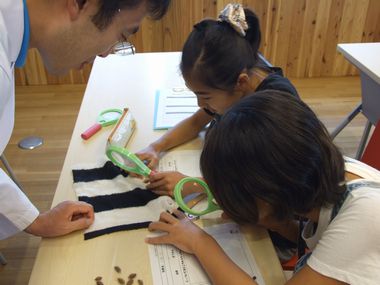 JFS/Children Visit Tohoku University's Ecollab. -- Learning Future Technologies through Environmental Study